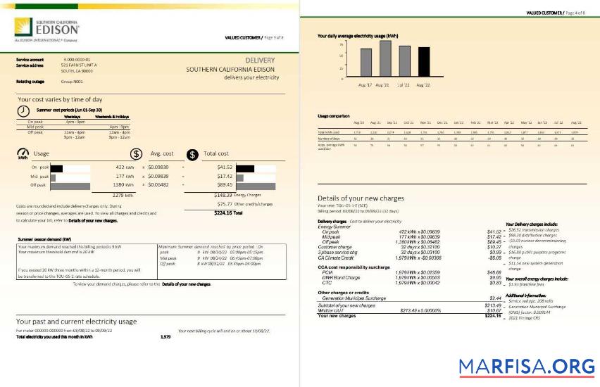 Blank USA Southern California EDISON utility bill, Word and PDF template, 8 pages 3 4